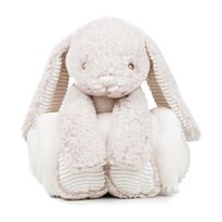 Rabbit and blanket