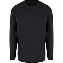 Regular fit long sleeve shirt