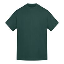 Anthem Amplify heavyweight t-shirt